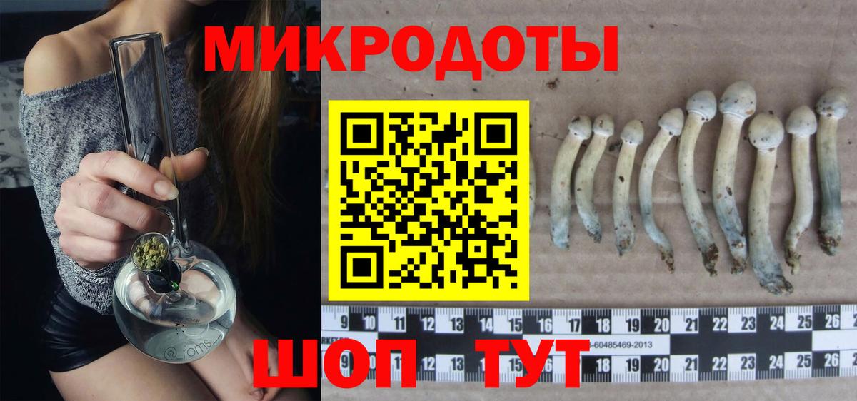 Галлюциногенные грибы мицелий  Вход с VPN  Кашира 